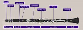 Labeled diagram showing parts of a clarinet on a purple background