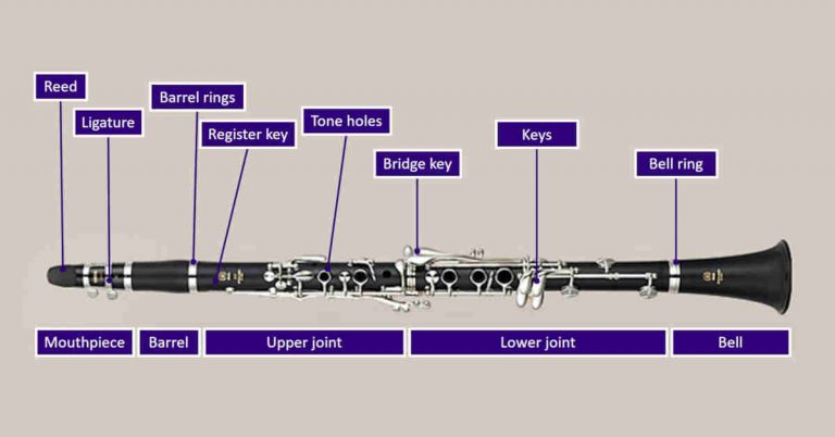 Labeled diagram showing parts of a clarinet on a purple background