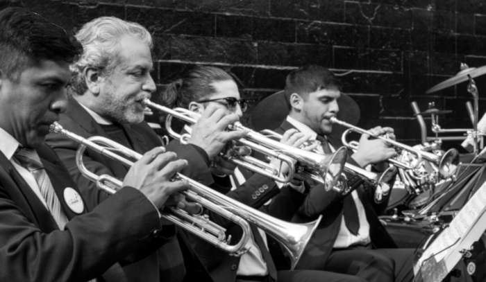 A row of orchestra musicians playing various trumpets