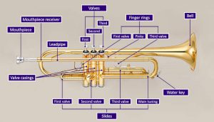 Diagram of a trumpet with parts labeled and highlighted in purple on a grey background