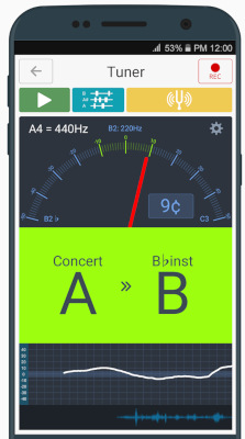 Smartphone display showing a musical tuning app