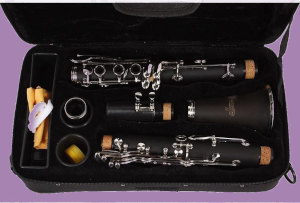 Allora Student Series Bb clarinet in case with accessories on purple background