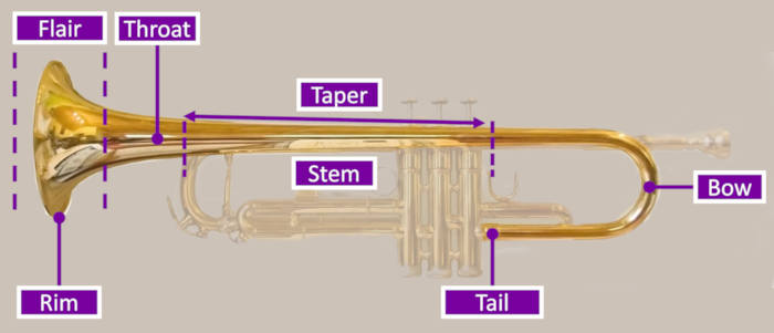 Diagram showing parts of a trumpet bell labeled on a grey background