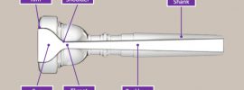 Diagram of trumpet mouthpiece with parts labeled on grey background