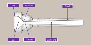 Diagram of trumpet mouthpiece with parts labeled on grey background